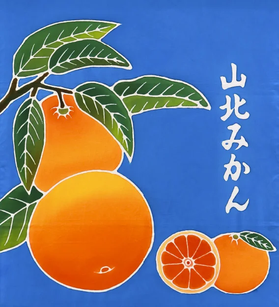 香南市 山北みかん フラフ