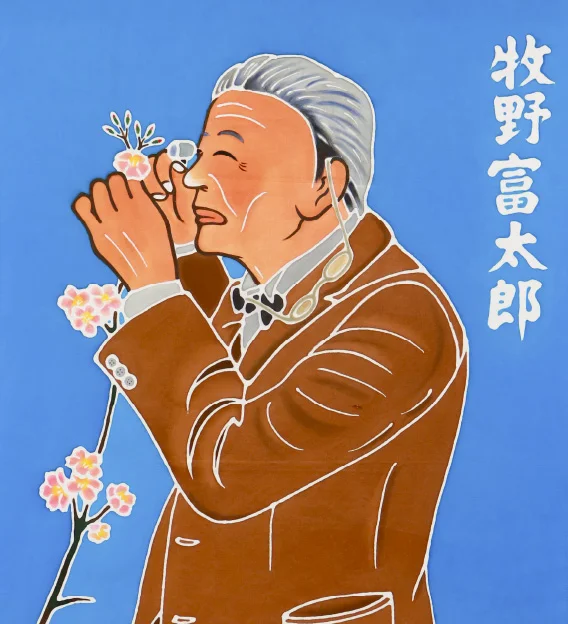 佐川町 牧野富太郎 フラフ