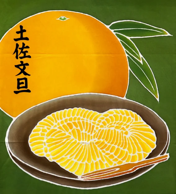 土佐市 土佐文旦 フラフ